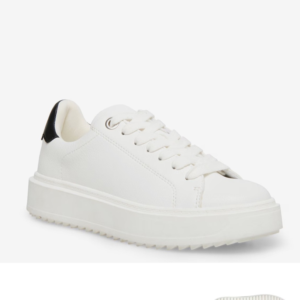 Steve Madden Catcher Platform Sneakers